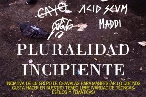 "Pluralidad Incipiente": Exposición de 6 alumnos y alumnas de 2º Bachillerato